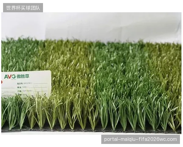 多地公立小学人造草坪老化磨损加剧了青少年的呼吸道隐患